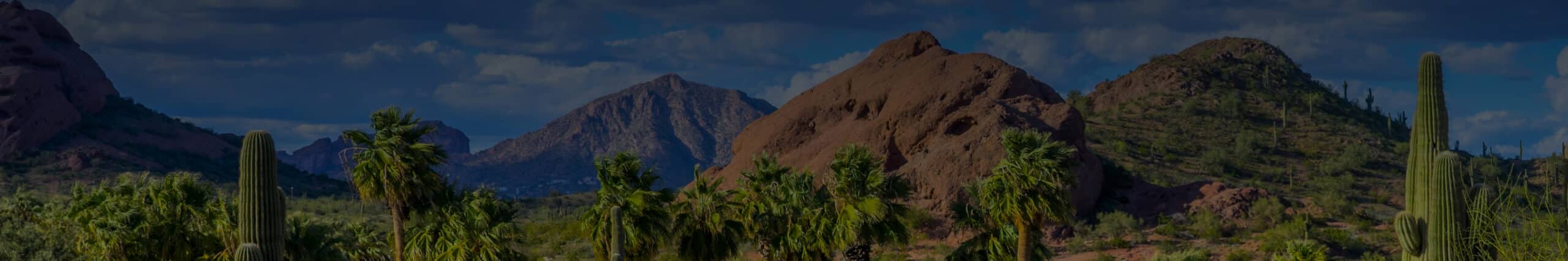 Arizona panorama with cacti