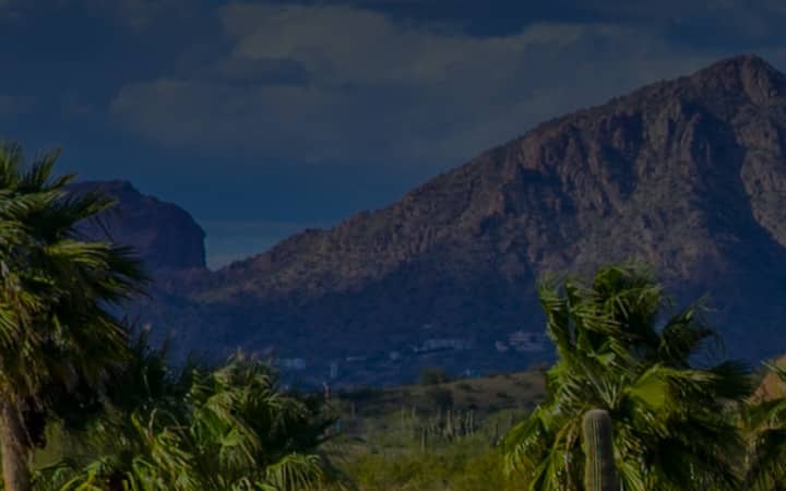 Arizona mountain panorama with cacti