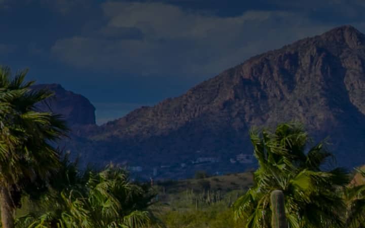 Arizona mountain panorama with cacti