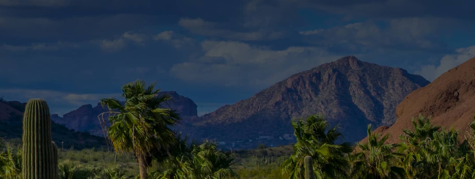Arizona panorama with cacti