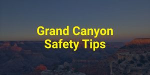 Grand Canyon Deaths [Updated 2024]