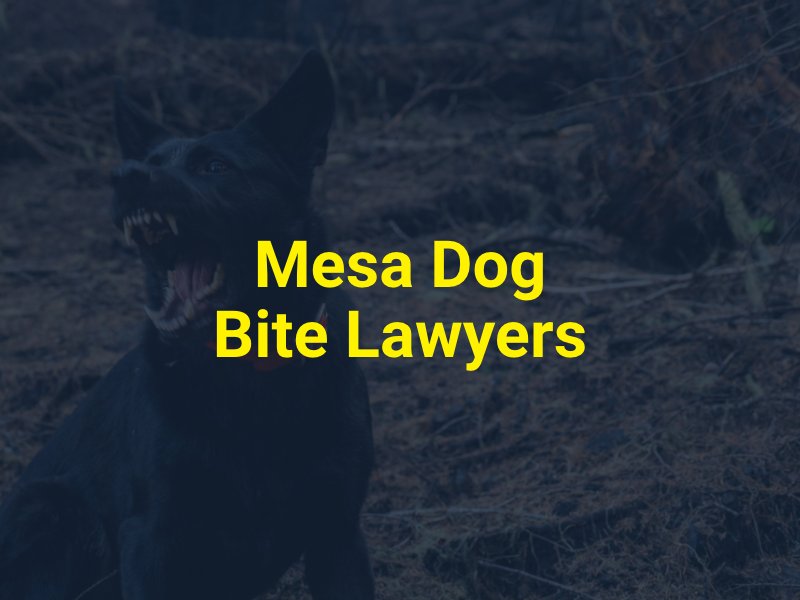 Mesa Dog Bite Lawyers