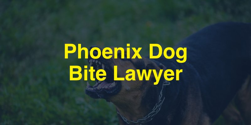 Phoenix Dog Bite Lawyer